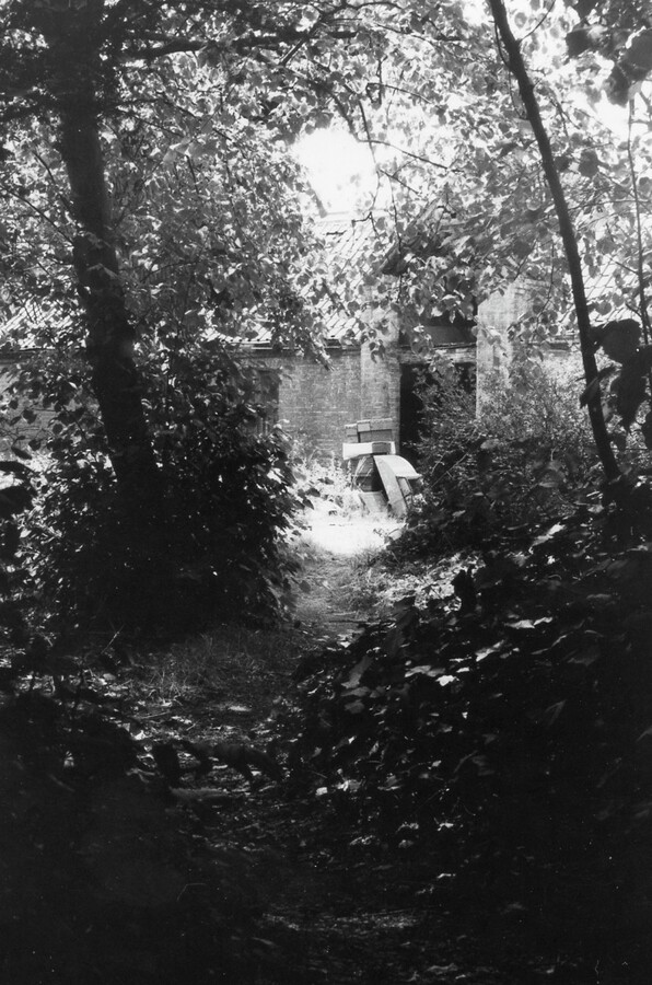 Rectory, looking through Shrubbery to Entrance to Stables